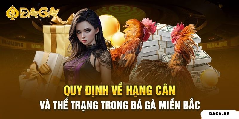 Quy định về hạng cân và thể trạng trong đá gà miền Bắc